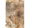 https://im2.book.com.tw/image/getImage?i=https://www.books.com.tw/img/001/087/43/0010874385_bf_01.jpg&v=5f901bd5k&w=655&h=609