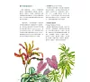 https://im2.book.com.tw/image/getImage?i=https://www.books.com.tw/img/001/088/15/0010881535_b_01.jpg&v=6007af04k&w=655&h=609
