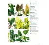 https://im2.book.com.tw/image/getImage?i=https://www.books.com.tw/img/001/088/15/0010881535_b_05.jpg&v=6007af05k&w=655&h=609