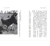 https://im2.book.com.tw/image/getImage?i=https://www.books.com.tw/img/001/088/71/0010887151_b_01.jpg&v=605182fek&w=655&h=609