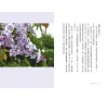 https://im2.book.com.tw/image/getImage?i=https://www.books.com.tw/img/001/091/98/0010919806_b_07.jpg&v=6244316ck&w=655&h=609