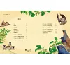 https://im2.book.com.tw/image/getImage?i=https://www.books.com.tw/img/001/099/59/0010995950_b_01.jpg&v=669a4ec8k&w=655&h=609