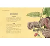 https://im2.book.com.tw/image/getImage?i=https://www.books.com.tw/img/001/099/59/0010995950_b_03.jpg&v=669a4ec8k&w=655&h=609