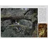 https://im2.book.com.tw/image/getImage?i=https://www.books.com.tw/img/001/100/89/0011008947_b_03.jpg&v=676cf569k&w=655&h=609