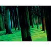 https://im2.book.com.tw/image/getImage?i=https://www.books.com.tw/img/001/101/13/0011011325_b_07.jpg&v=677e6296k&w=655&h=609