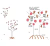 https://im2.book.com.tw/image/getImage?i=https://www.books.com.tw/img/001/101/27/0011012754_b_05.jpg&v=678e9633k&w=655&h=609