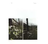 https://im2.book.com.tw/image/getImage?i=https://www.books.com.tw/img/CN1/144/36/CN11443658_b_09.jpg&v=5979b29fk&w=655&h=609
