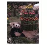 https://im2.book.com.tw/image/getImage?i=https://www.books.com.tw/img/CN1/199/76/CN11997658_b_07.jpg&v=66d622f7k&w=655&h=609