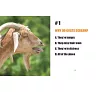 https://im2.book.com.tw/image/getImage?i=https://www.books.com.tw/img/F01/363/36/F013633604_b_01.jpg&v=5909b14ek&w=655&h=609