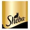 Sheba