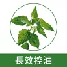 長效控油
