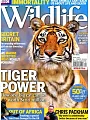 BBC Wildlife 4月號/2016