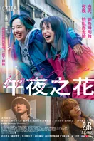 �m�ȩ]����n