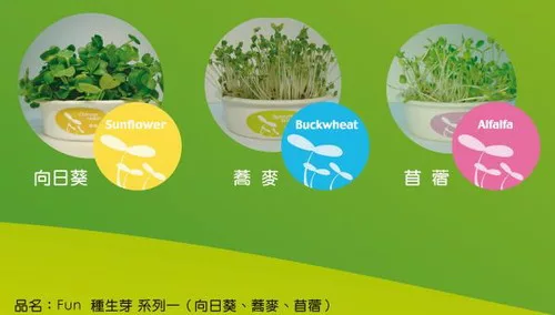博客來 Fun種生芽 向日葵 蕎麥 苜蓿