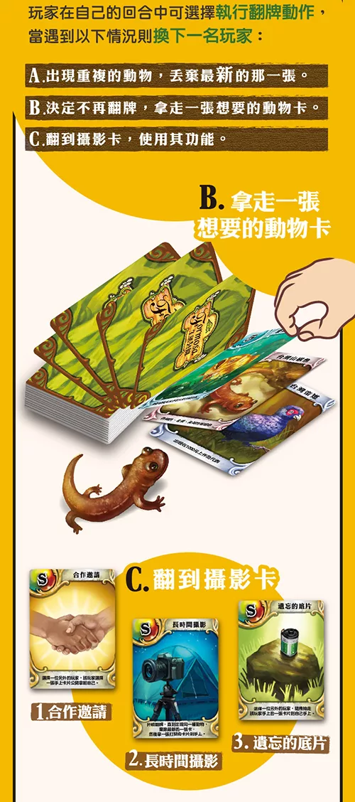 博客來 2plus Formosa生態公園桌上遊戲