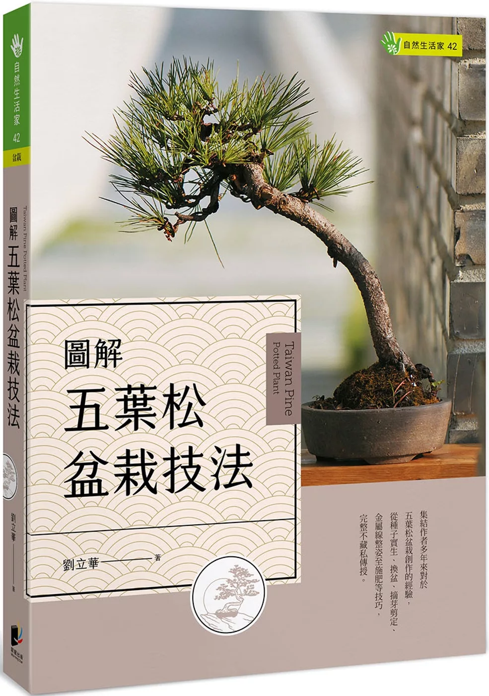 松盆栽在購物網站 比價撿便宜 優惠與推薦 22年7月