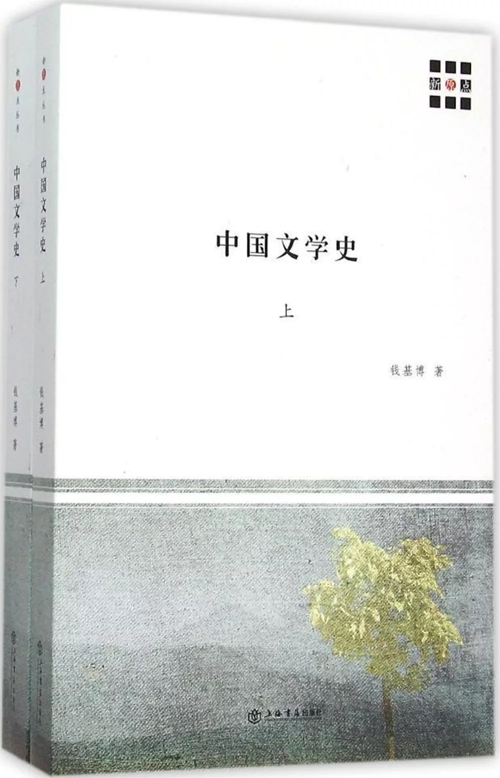 中國文學史(上下冊)