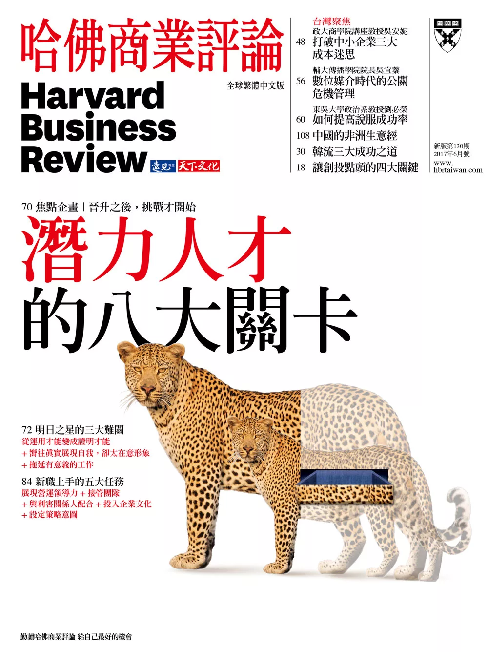 哈佛商業評論全球中文版 6月號 / 2017年第130期 (電子雜誌)