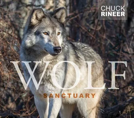 Wolf Sanctuary: The Wolves of Speedwell Forge