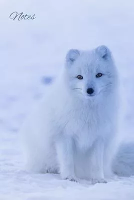Notes: Lined Journal Arctic Fox Animal Notebook