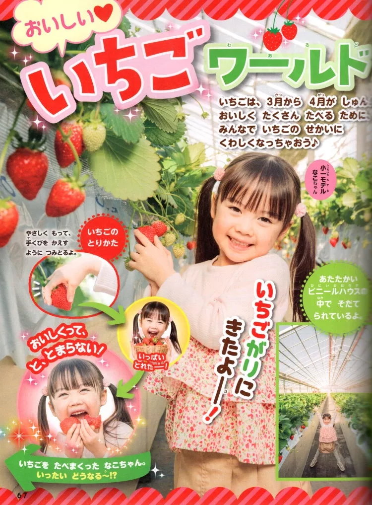 草莓美味世界
