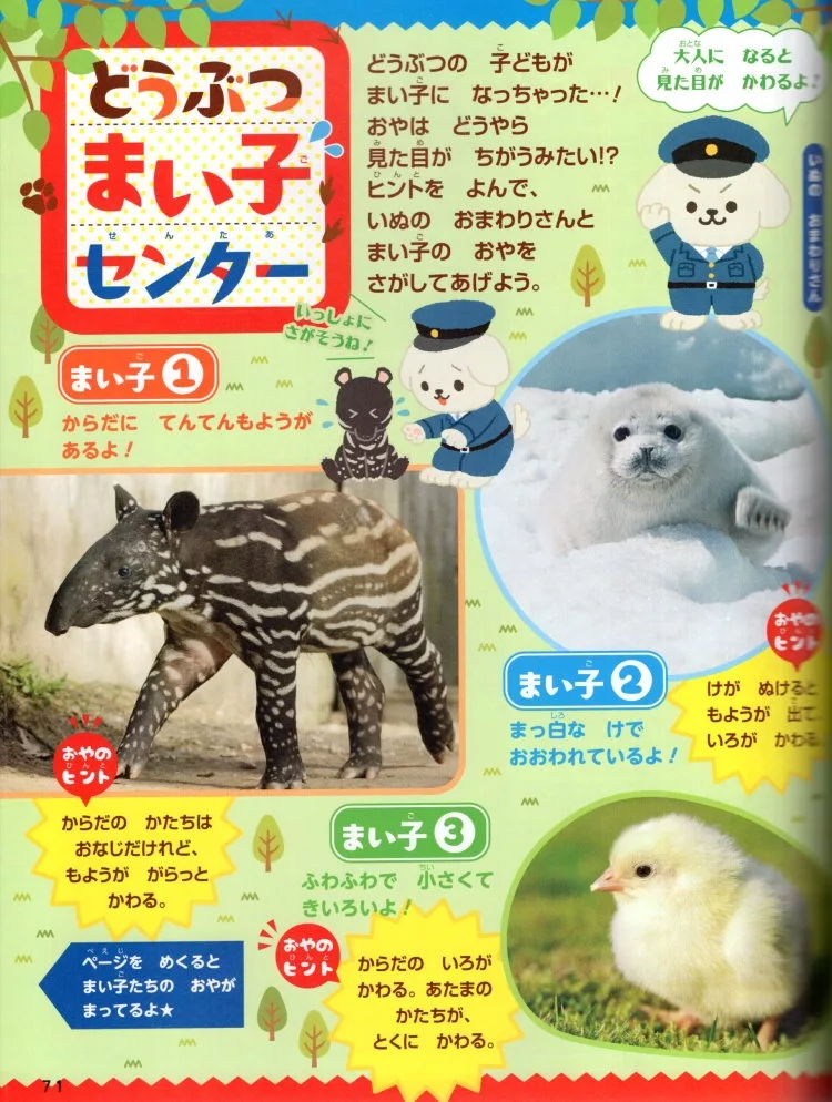 動物親子圖鑑