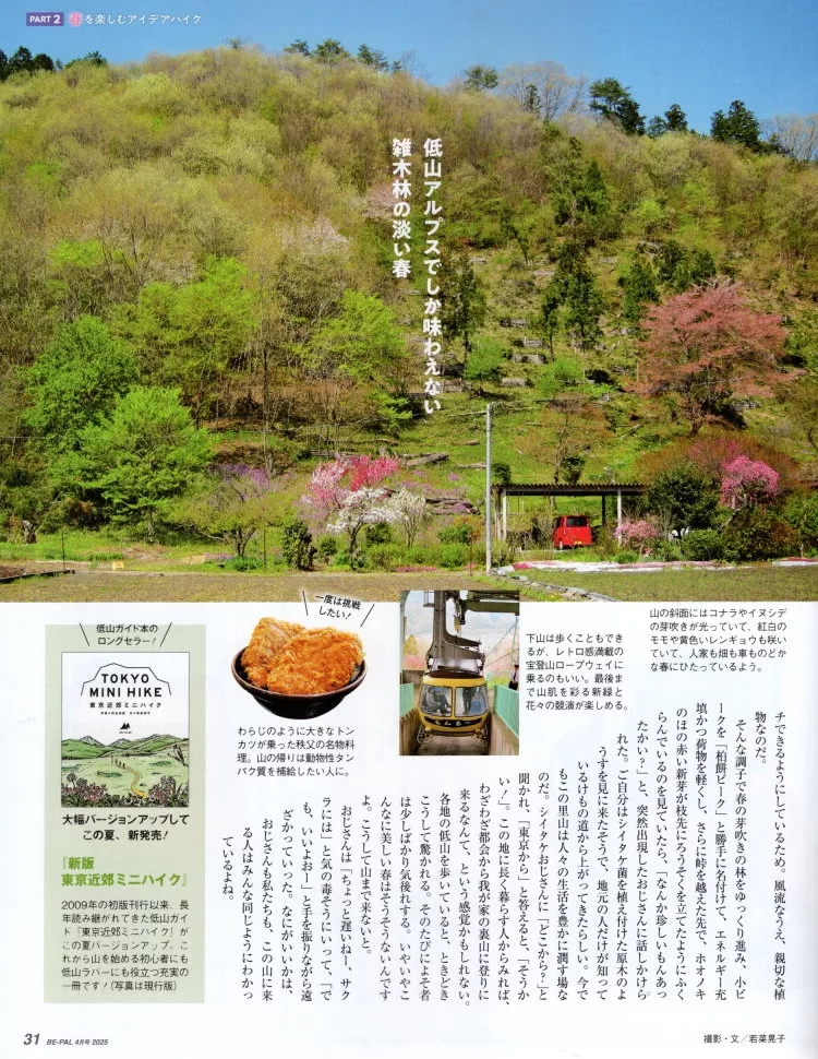 享受春天的樂趣健行