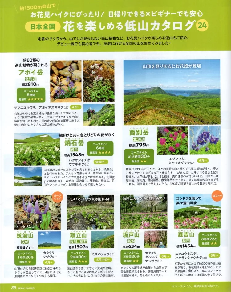 輕鬆賞花低矮小山檔案