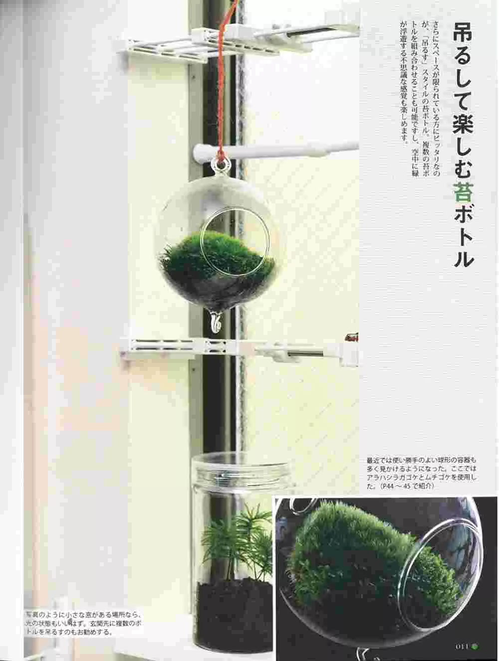 博客來 苔蘚盆栽趣味裝飾生活圖鑑專集