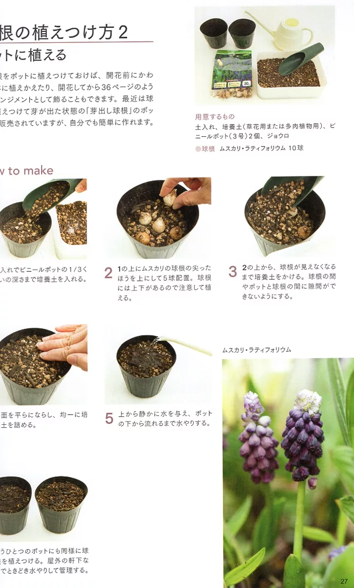 博客來 竹田薰球根植物栽種技巧實例集