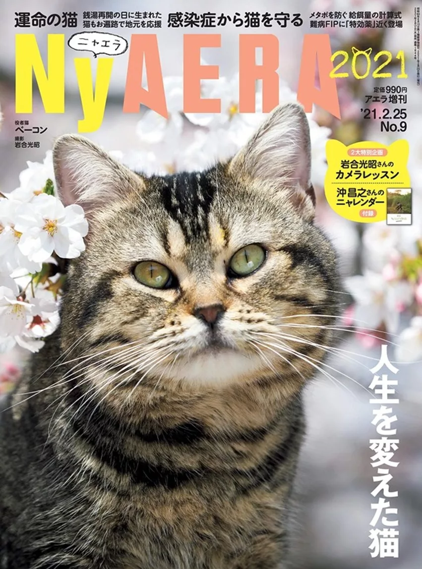Nyaera貓咪生活情報誌 21 02 Mook Stocknet台灣股網