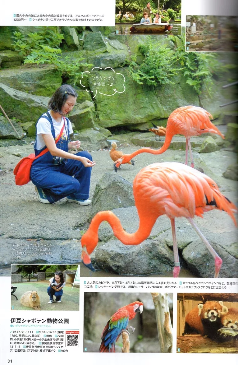 伊豆仙人掌動物公園