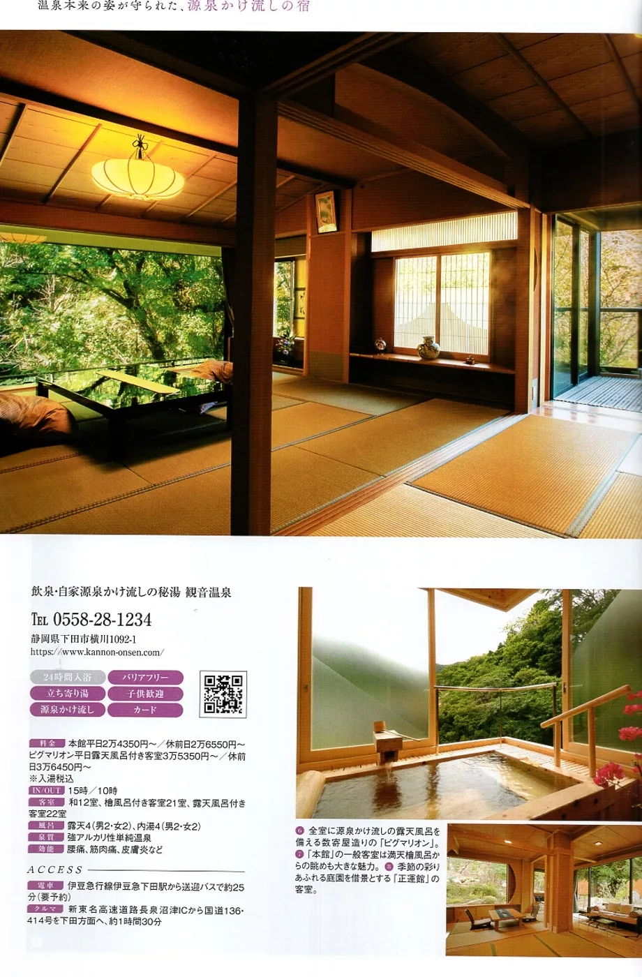 觀音溫泉（靜岡縣 觀音溫泉）