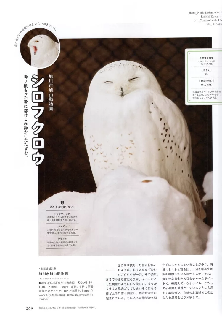 可愛動物療癒氣氛