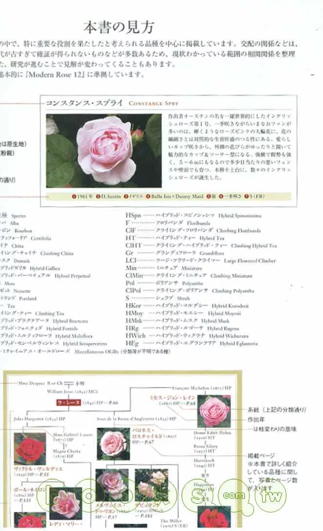 博客來 薔薇玫瑰新舊品種全圖鑑