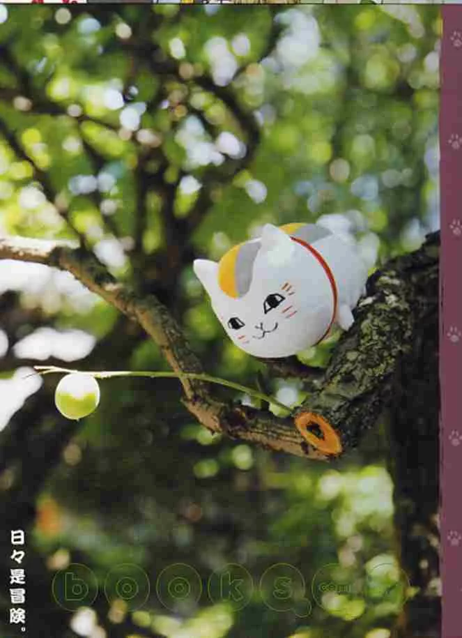 【特別附錄1】貓咪老師-日日是冒險明信片