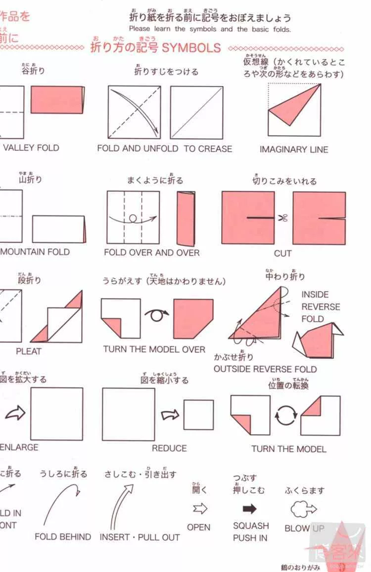 內頁