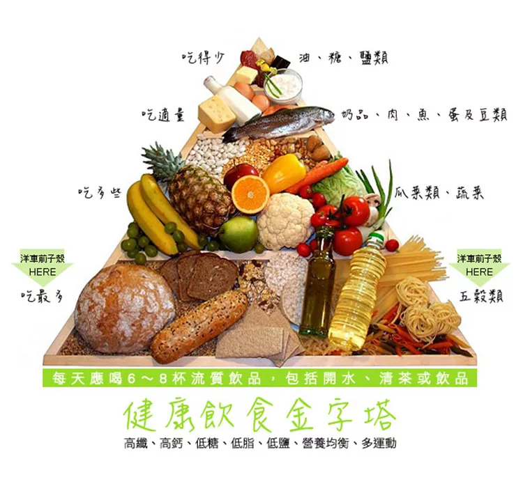 博客來 米森 洋車前子殼纖維粉 180g 罐