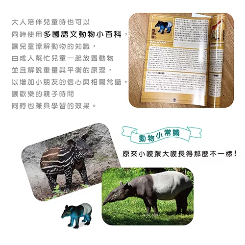 博客來 諾亞方舟noah S Ark