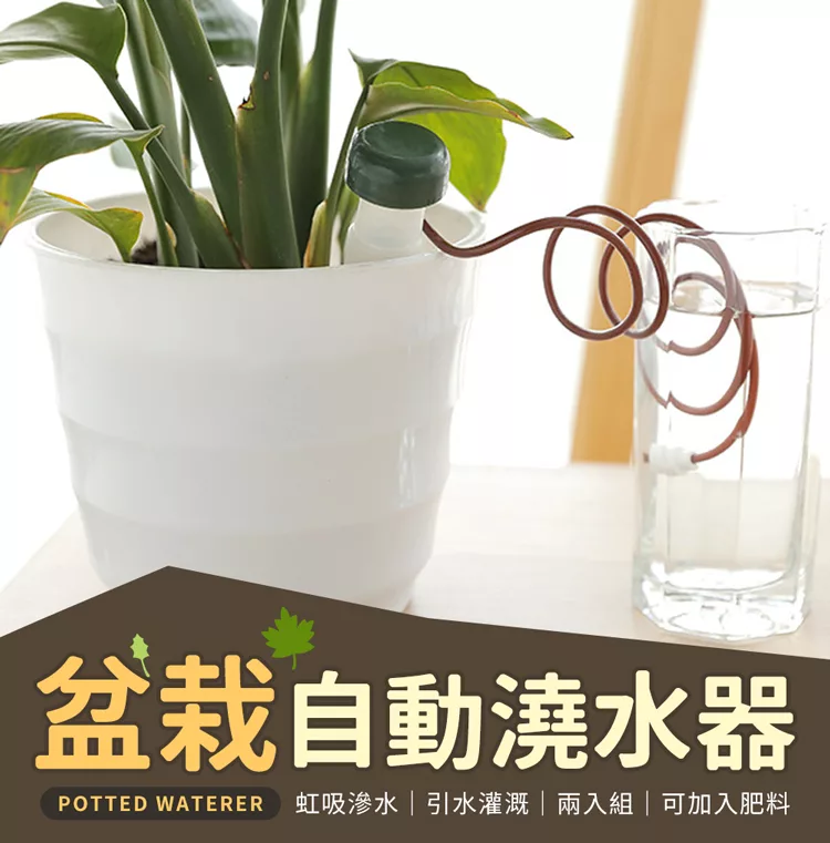 博客來 Jiago 盆栽自動澆水器 澆花神器2入組白色
