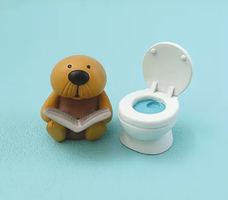 博客來 Decole Hige Racco 入浴中海獺