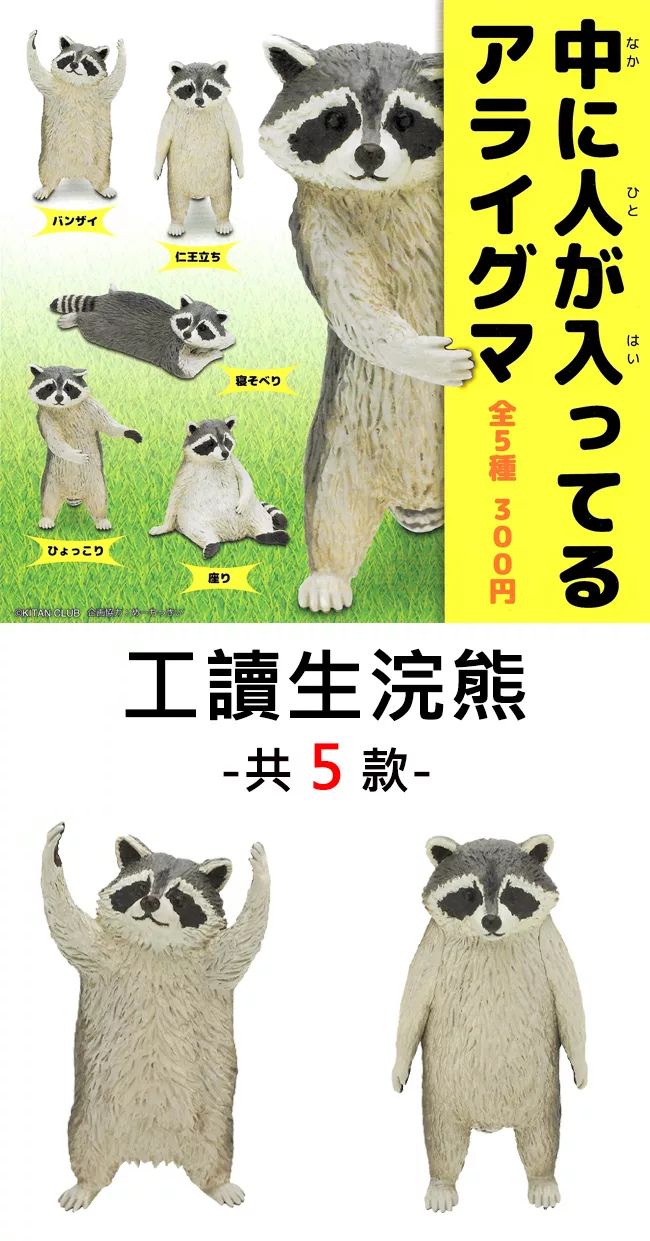 博客來 日本正版授權 全套5款工讀生浣熊扭蛋 轉蛋動物工讀生kitan 奇譚