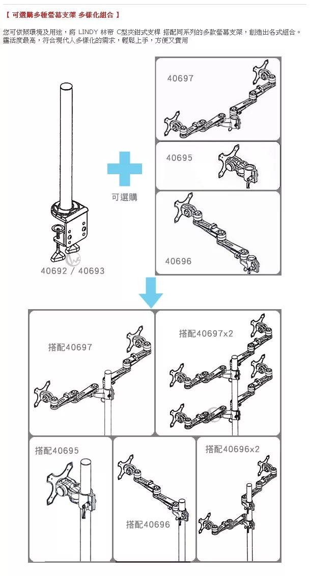 LINDY林帝 40693 - 詳情6