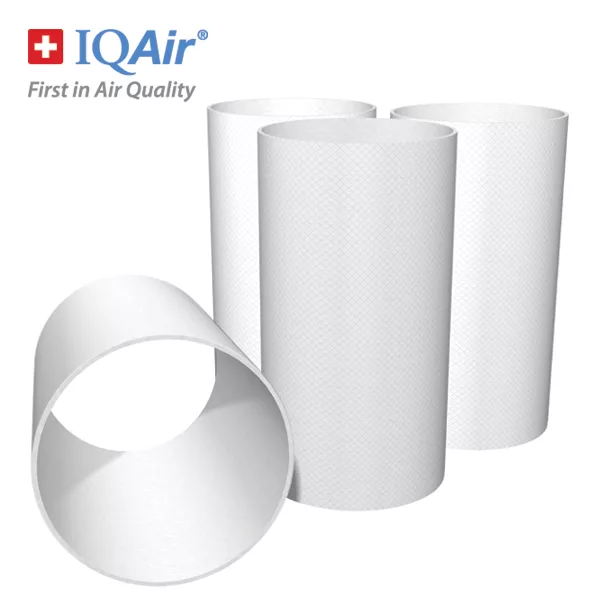 【總代理公司貨】瑞士IQAir-GC後置套筒濾網