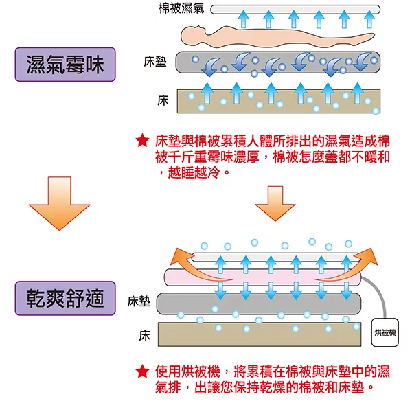 THOMSON湯姆盛 TM-SAW08DQ - 詳情11