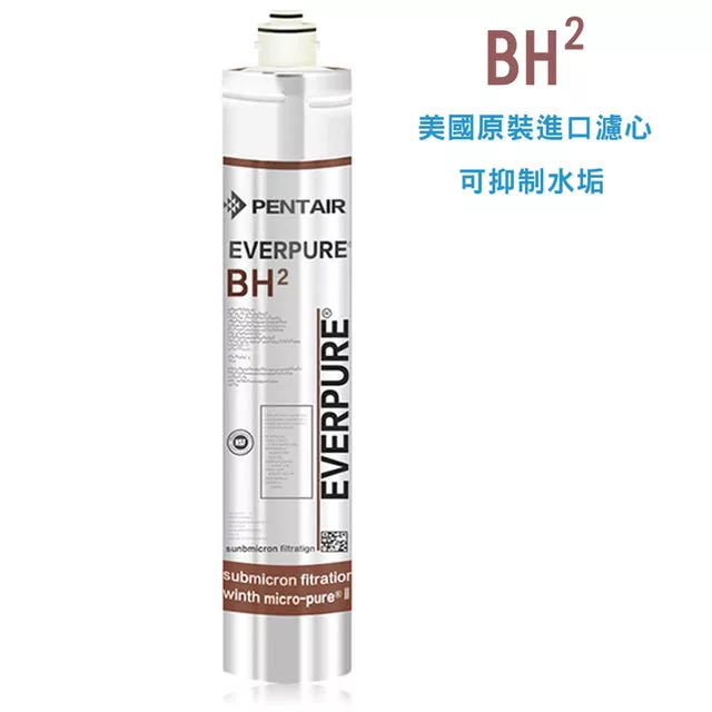 【美國EVERPURE】原裝進口 BH2 家用抑垢長效型濾心(全新進口濾心)