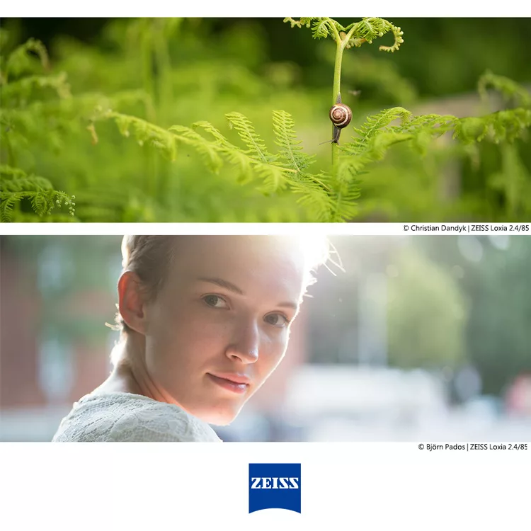 ZEISS蔡司 Loxia 85mm F/2.4 - 詳情5