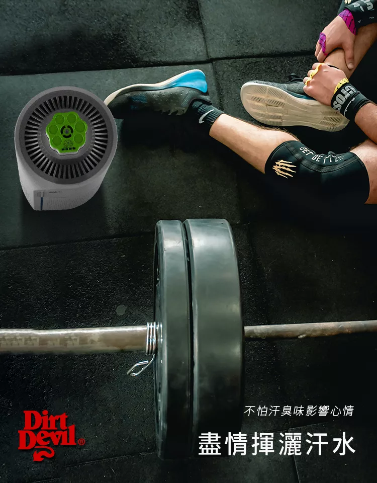 Dirt Devil Badgir - 詳情9