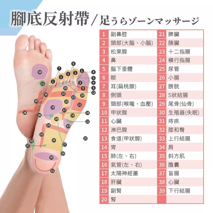 Ikiiki伊崎 IK-FM5501 - 詳情16