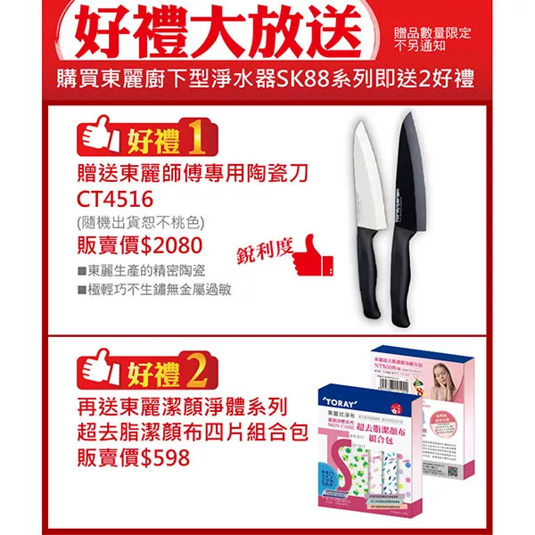 TORAY東麗 SK88-SA - 詳情11